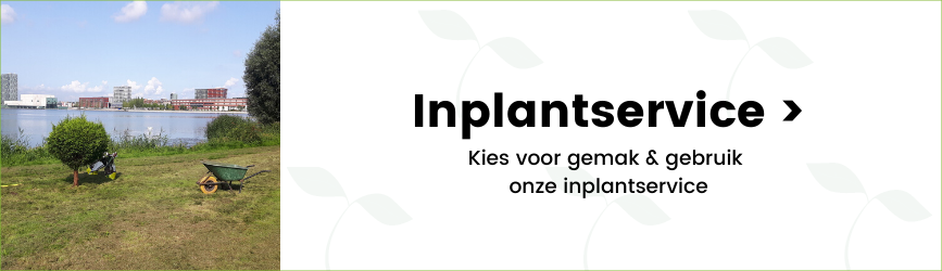 (c) Haag-planten.nl